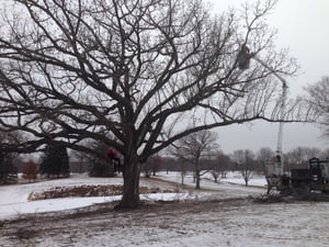 IMG_3658